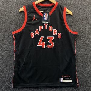 Nike Jordan Toronto Raptors Pascal Siakam Statement Swingman Jersey Youth Large